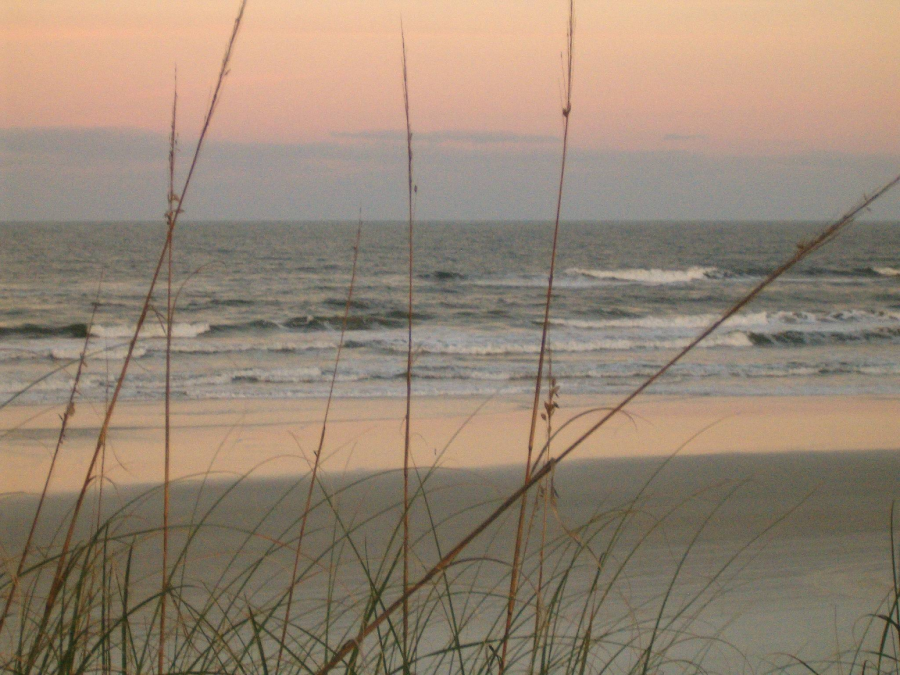 Beach scene